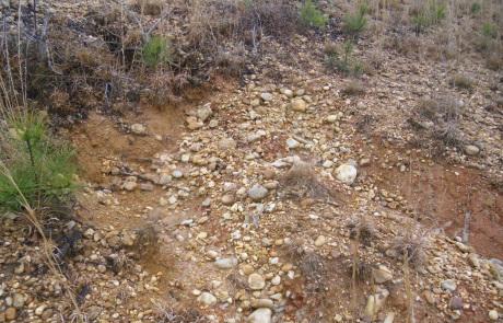 The Sandy-Clay-Loam had a host of problems, including 1.0% average organic matter and an acidic 5.3 pH. The Sandy-Clay-Loam had a host of problems, including 1.0% average organic matter and an acidic 5.3 pH.